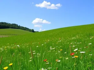 Podatek od sprzedaży auta: co warto wiedzieć?